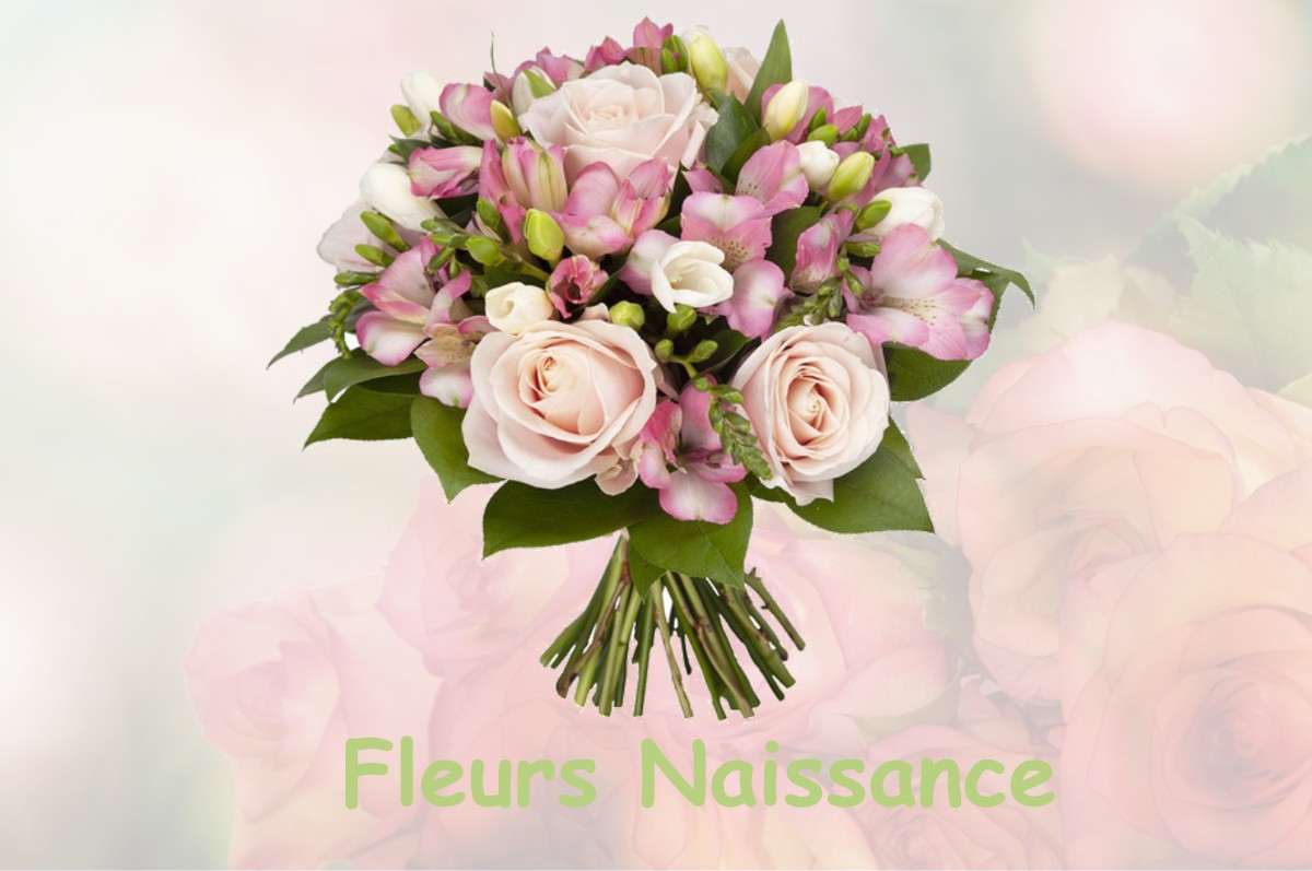 fleurs naissance LA-VALLEE-MULATRE