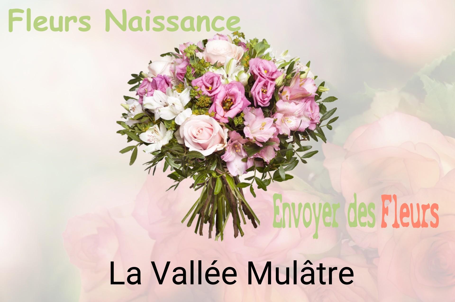 Bouquet de fleurs de naissance livré à La Vallée-Mulâtre